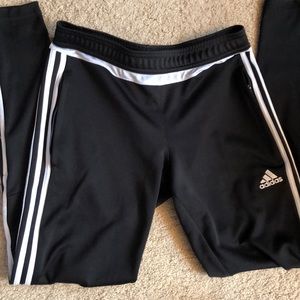 Adidas trio 15 pants